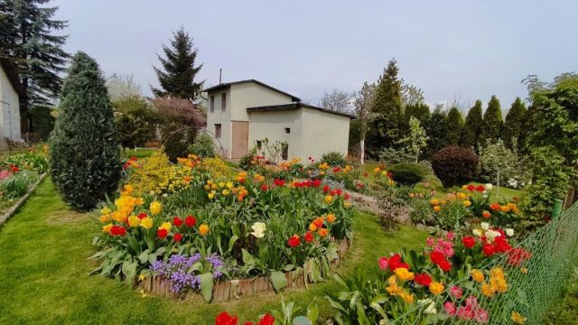 Działka rekreacyjna Jawor. Zdjęcie 1