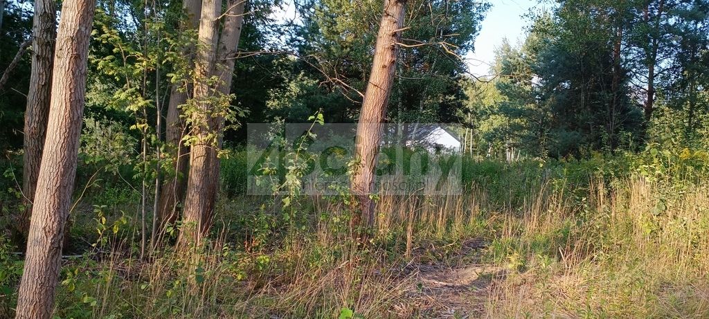 Działka budowlana Czarny Las. Zdjęcie 2