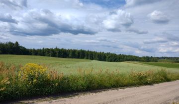 Działka rolno-budowlana Liniewko Kościerskie Liniewko Kaszubskie