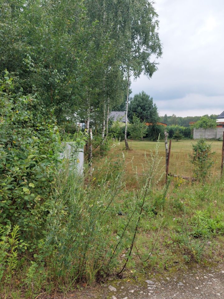 Działka budowlana Tuszyn Tuszynek Poduchowny, ul. Roberta Kocha. Zdjęcie 2