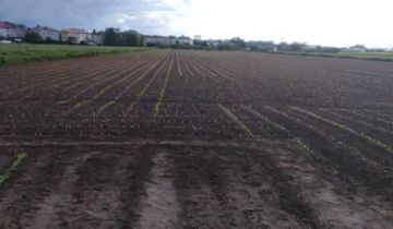 Działka budowlana Krasnystaw, ul. Kościuszki