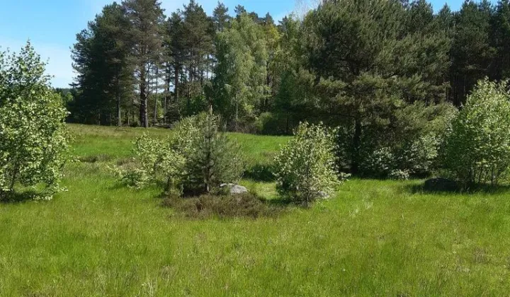 Działka budowlana Leśniewo, ul. Złota Dolina