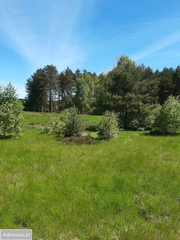 Działka budowlana Leśniewo, ul. Złota Dolina. Zdjęcie 1