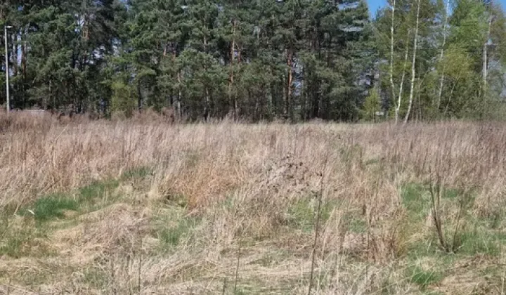 Działka budowlana Chełmce