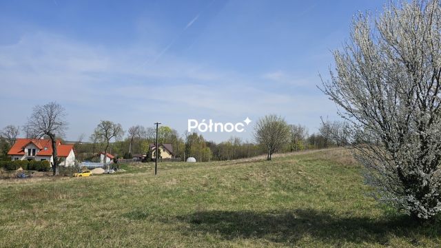 Działka Sędki. Zdjęcie 5