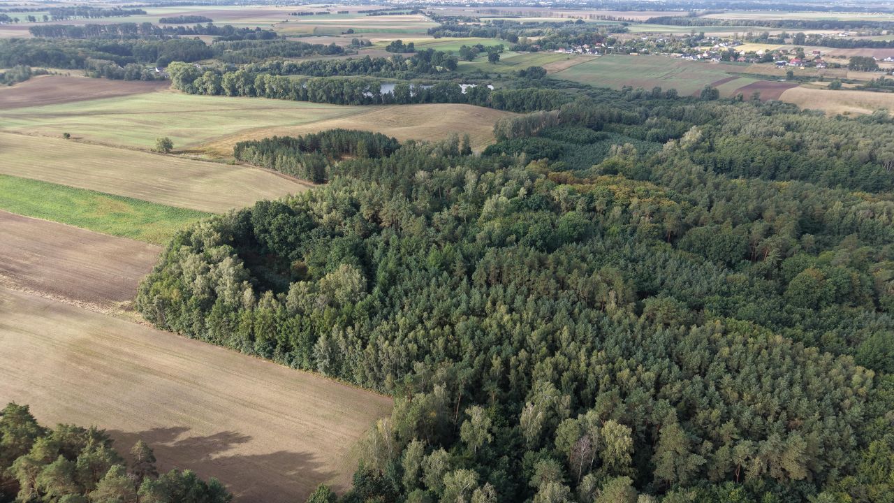Działka inwestycyjna Kiczarowo. Zdjęcie 5