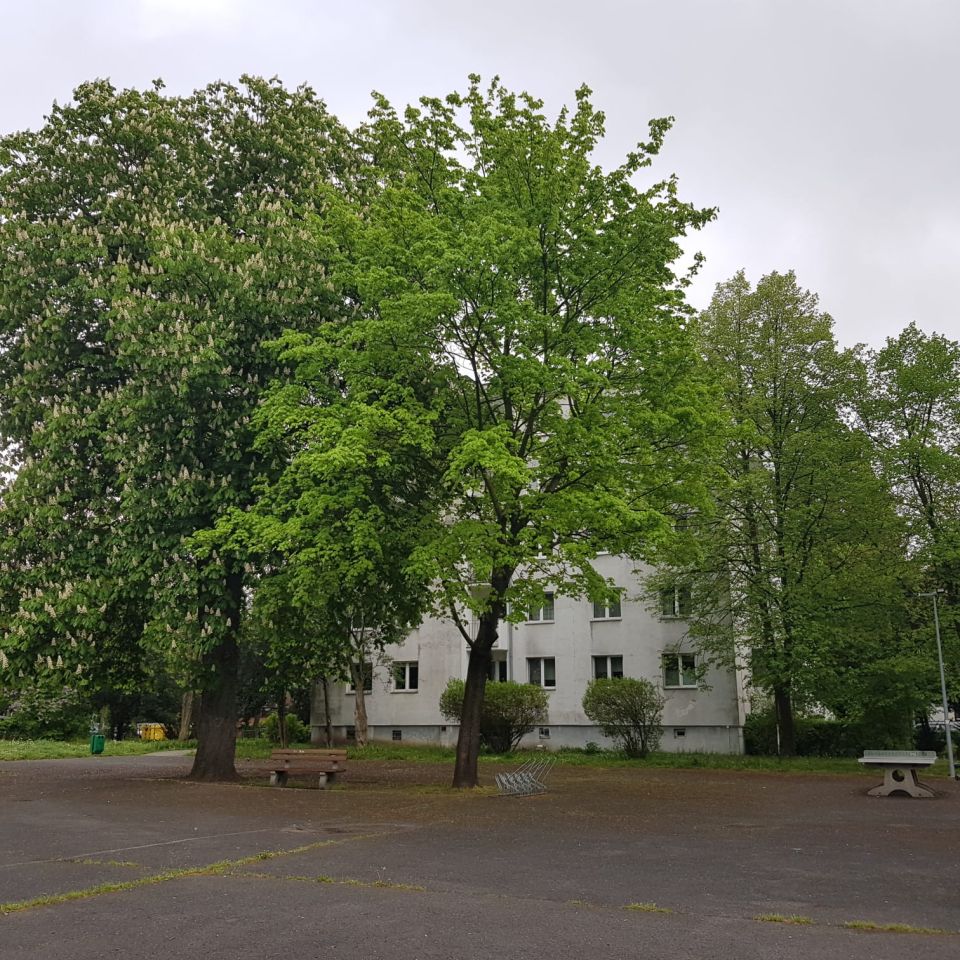 Mieszkanie 2-pokojowe Wrocław Borek, ul. Bolesława Ulanowskiego. Zdjęcie 17