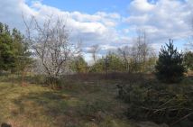 Działka budowlana Tymianka. Zdjęcie 4