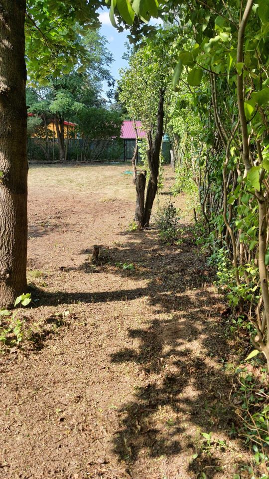 Działka rod Szerominek. Zdjęcie 4