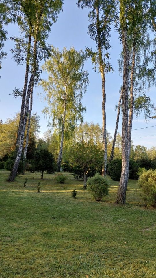 Działka budowlana Sokolniki-Las. Zdjęcie 4