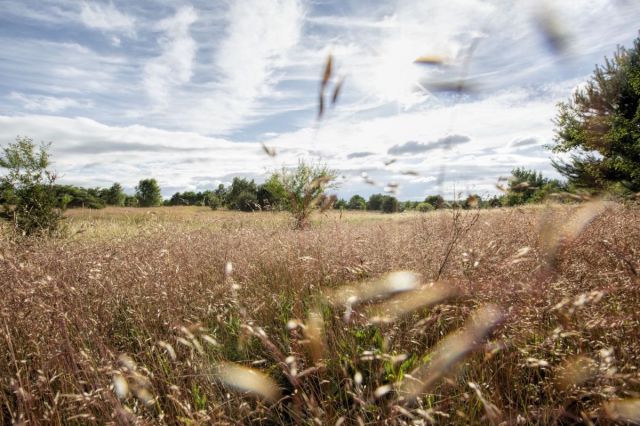 Działka budowlana Sarbsk. Zdjęcie 3