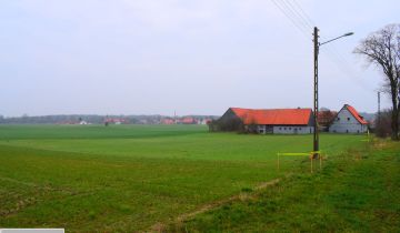 Działka budowlana Kursko