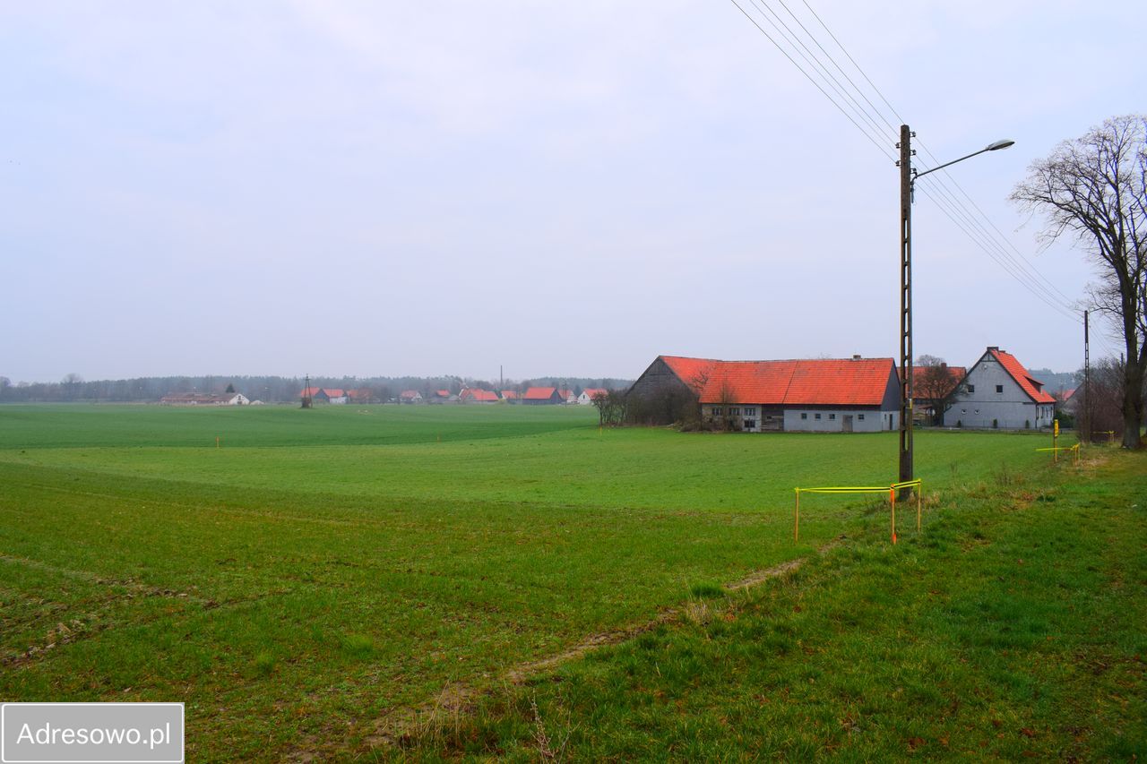 Działka budowlana Kursko