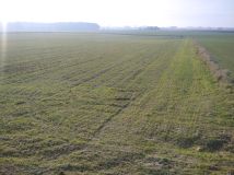 Działka siedliskowa Bramka. Zdjęcie 3