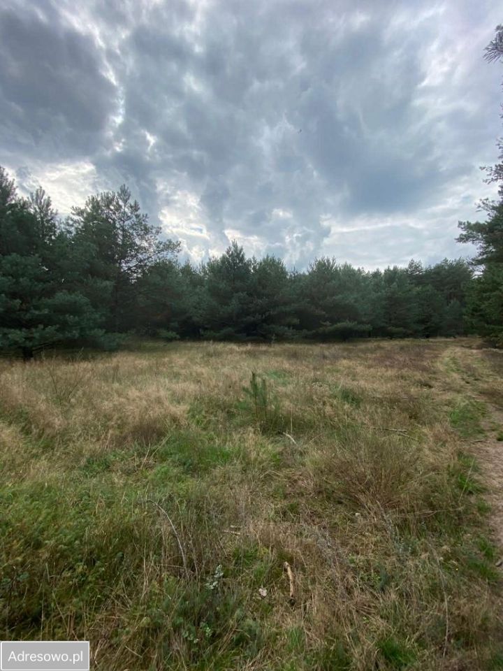 Działka rekreacyjna Kwiejce. Zdjęcie 2