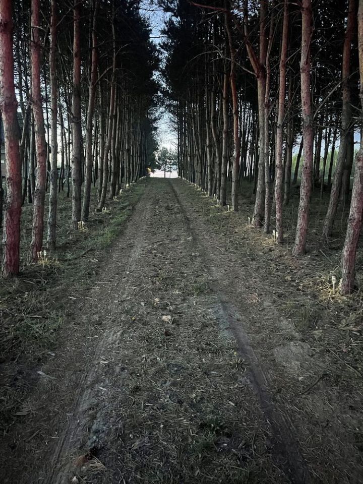 Działka budowlana Skrzynno. Zdjęcie 5