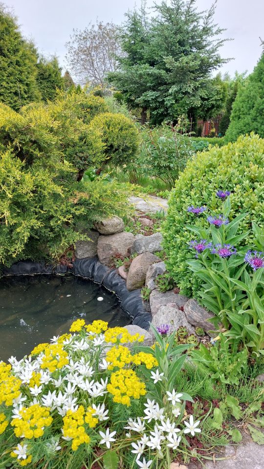 dom letniskowy, 1 pokój Gdańsk Kokoszki, ul. Nowatorów. Zdjęcie 18