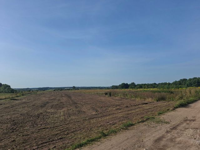 Działka rolno-budowlana Dąbrówki. Zdjęcie 1