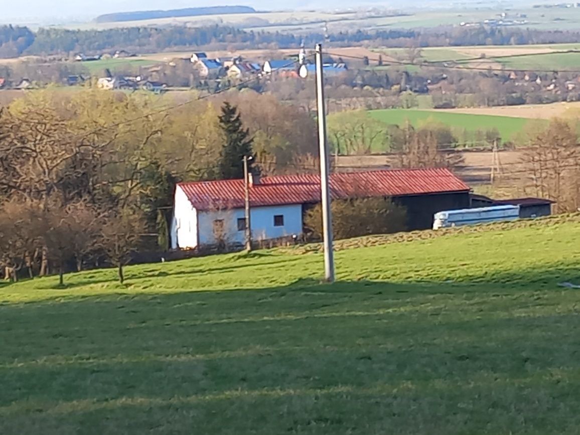 Działka rolno-budowlana Szczawina. Zdjęcie 12