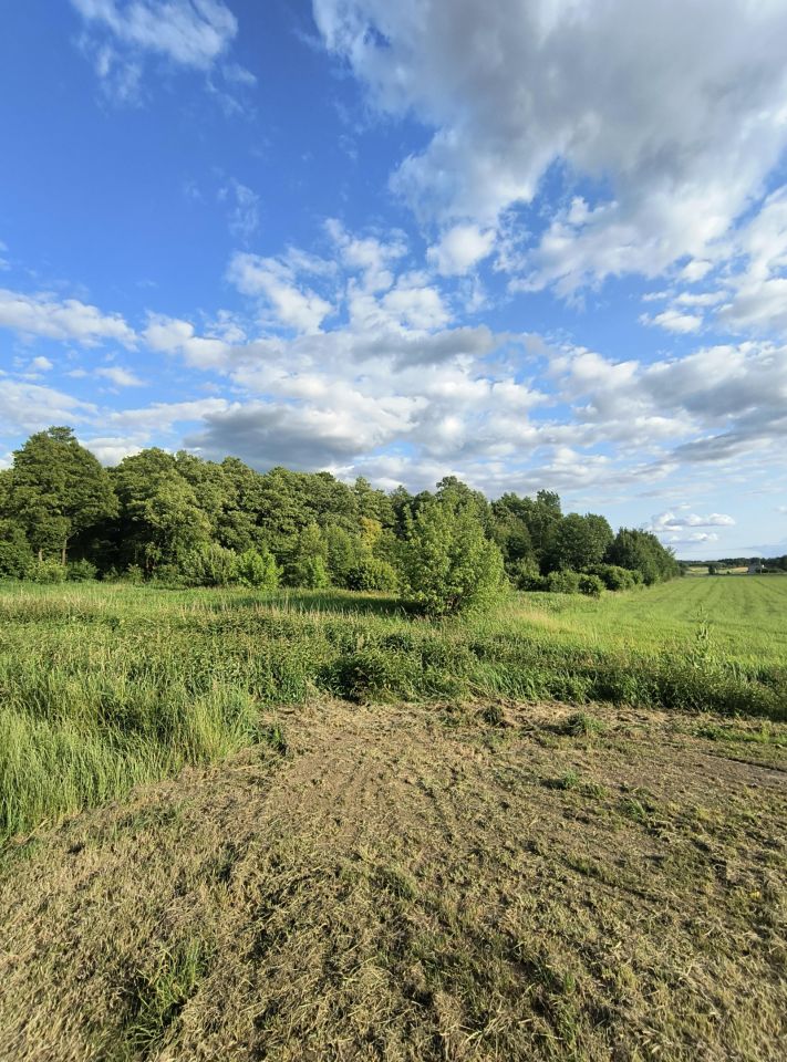 Działka inwestycyjna Zakrzew. Zdjęcie 4