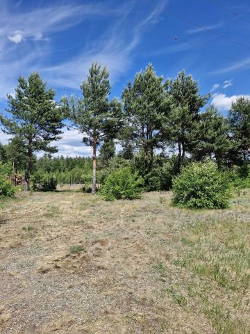 Działka rolno-budowlana Skaryszew Gaj, ul. Dzierzkowska. Zdjęcie 1
