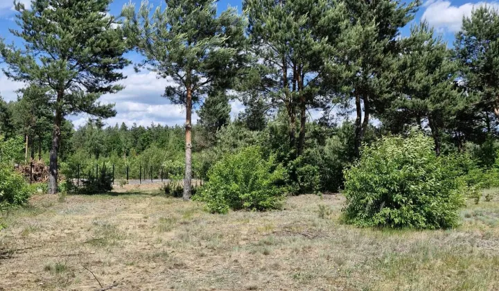 Działka rolno-budowlana Skaryszew Gaj, ul. Dzierzkowska
