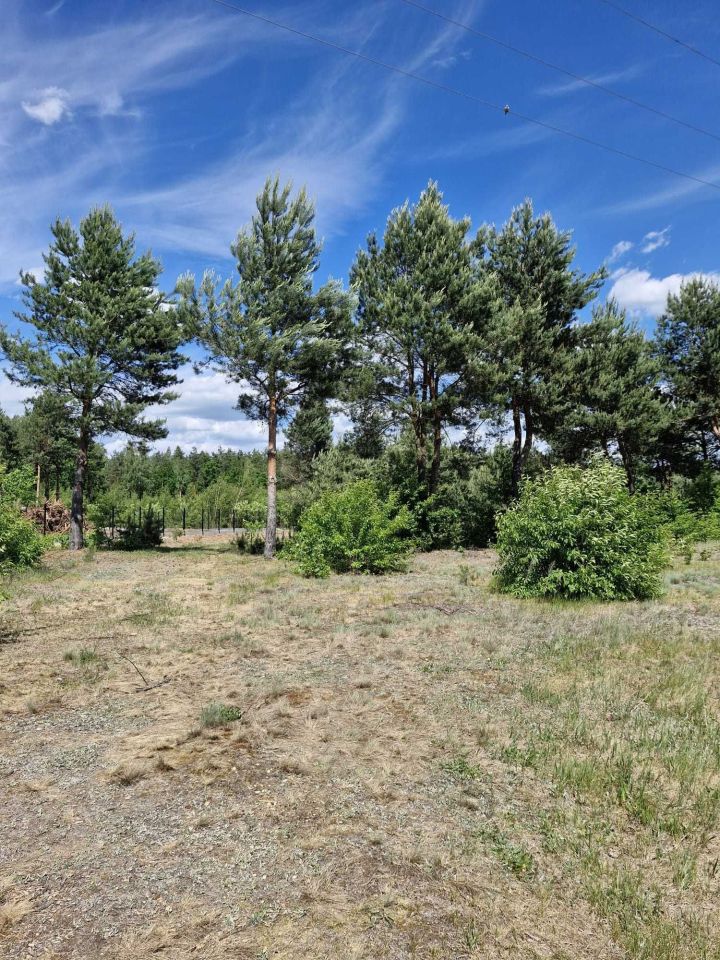Działka rolno-budowlana Skaryszew Gaj, ul. Dzierzkowska. Zdjęcie 1