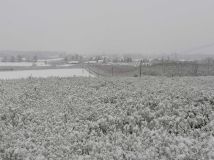 dom wolnostojący, 3 pokoje Zawichost. Zdjęcie 4