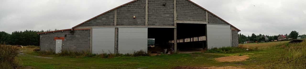 Hala/magazyn Glinno. Zdjęcie 3