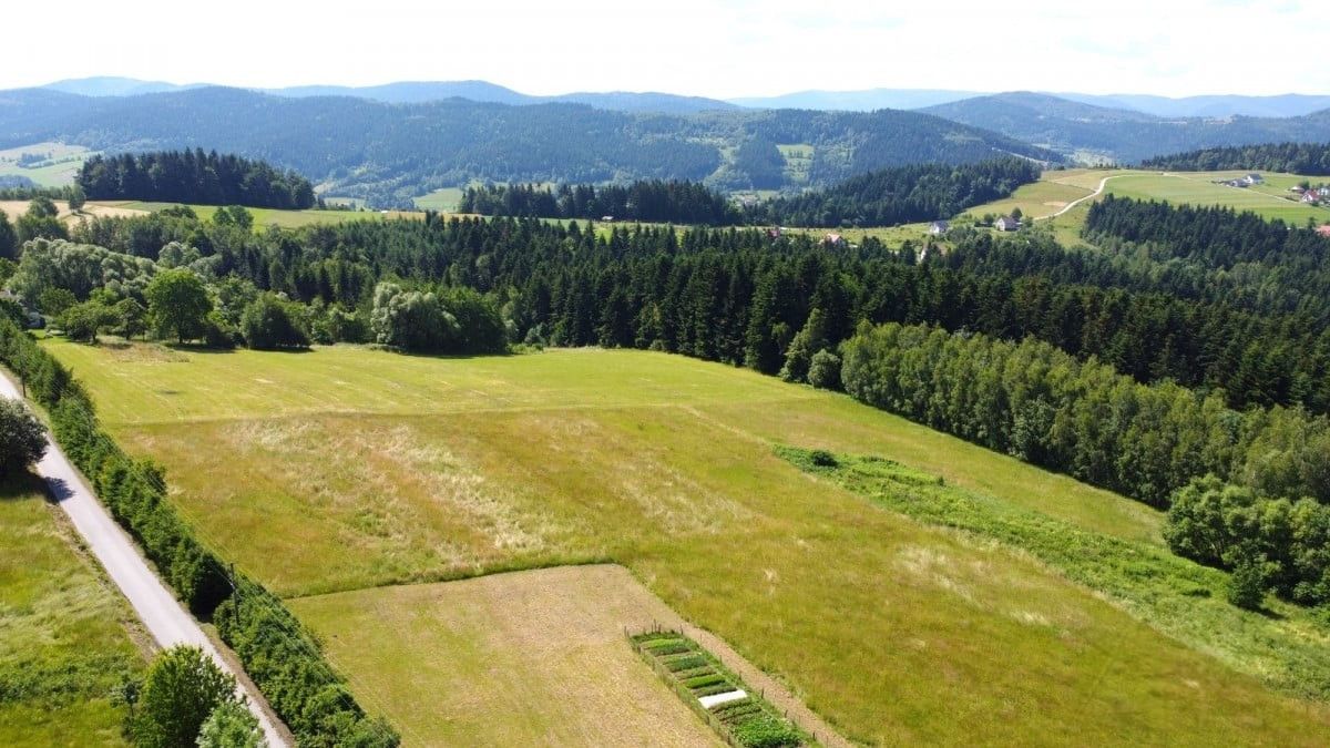 Działka inwestycyjna Mszalnica. Zdjęcie 4