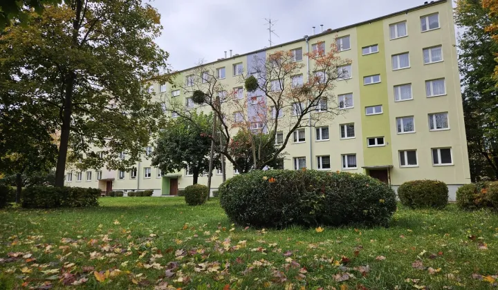 Mieszkanie 3-pokojowe Mrągowo, ul. Mikołaja Kopernika