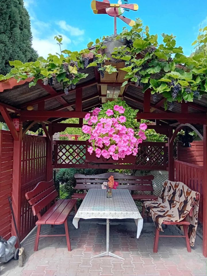 Działka rod Gliwice Kopernik. Zdjęcie 5