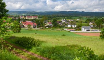 Działka inwestycyjna Olszyny