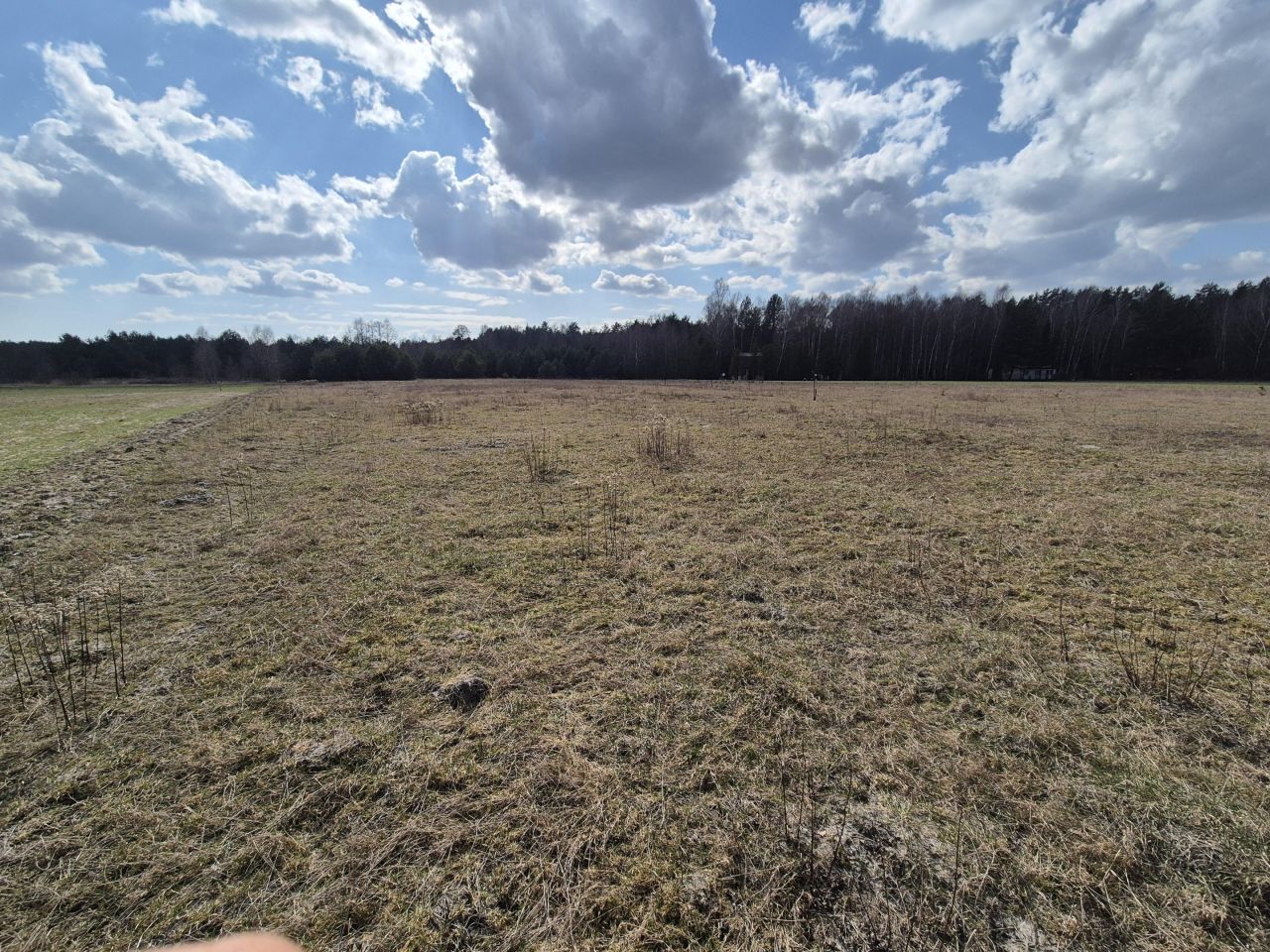 Działka rolno-budowlana Wola Polska. Zdjęcie 3