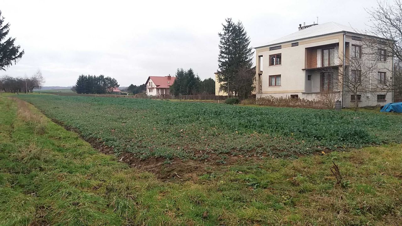 Działka rolna Kraczkowa. Zdjęcie 4