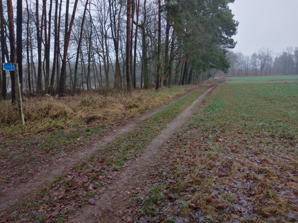 Działka rolna Ciszkowo. Zdjęcie 3