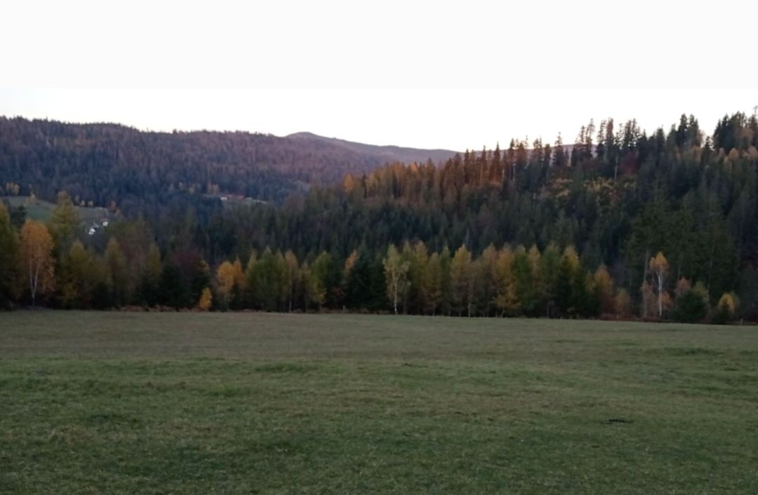 Działka rolno-budowlana Wisła Czarne, os. Bobrów. Zdjęcie 3