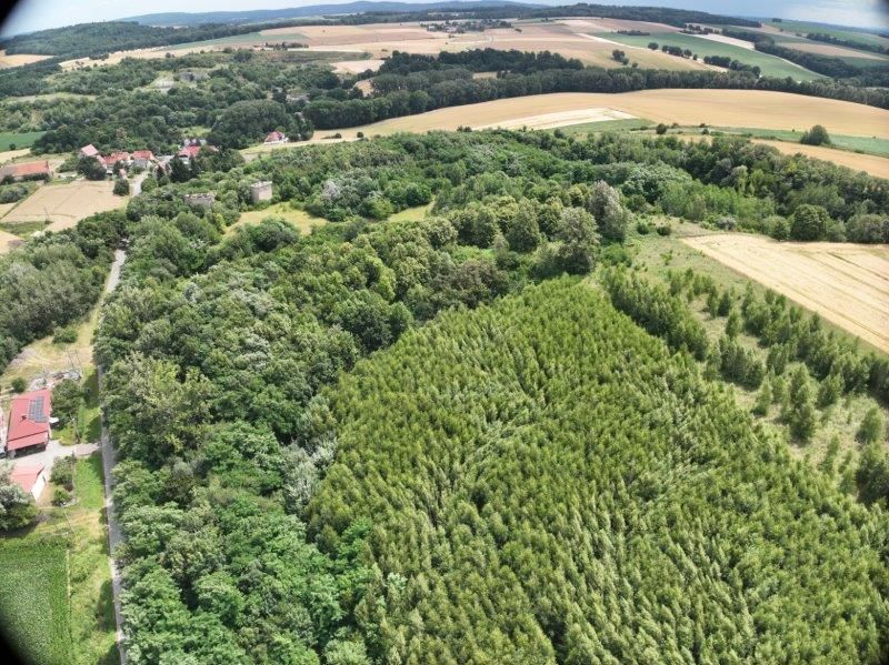 Działka inna Janowiczki. Zdjęcie 13