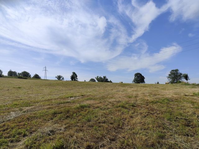 Działka budowlana Sędzisław. Zdjęcie 1