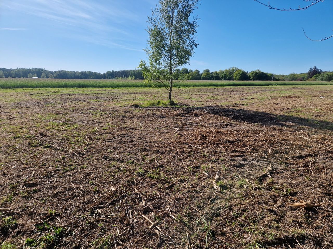 Działka rolna Stary Kraków. Zdjęcie 3