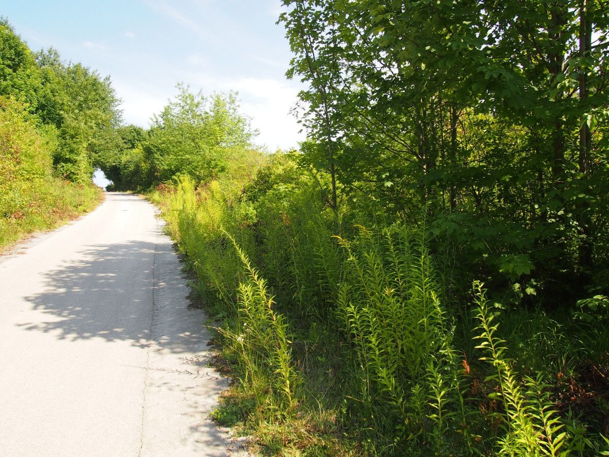 Działka rekreacyjna Śladów. Zdjęcie 5