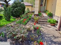 dom wolnostojący, 9 pokoi Ząbkowice Śląskie. Zdjęcie 1