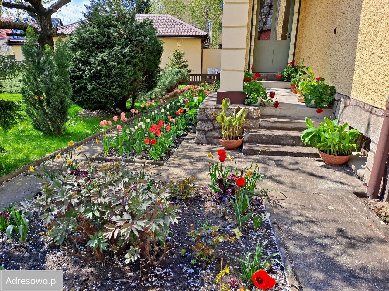 dom wolnostojący, 9 pokoi Ząbkowice Śląskie. Zdjęcie 2