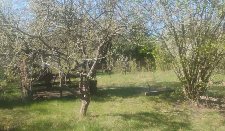 Działka rod Warszawa Wilanów, ul. Augustówka