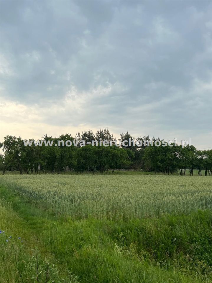 Działka rolna Malanowo Stare. Zdjęcie 8