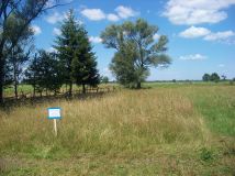 Działka rolna Brzuza. Zdjęcie 1