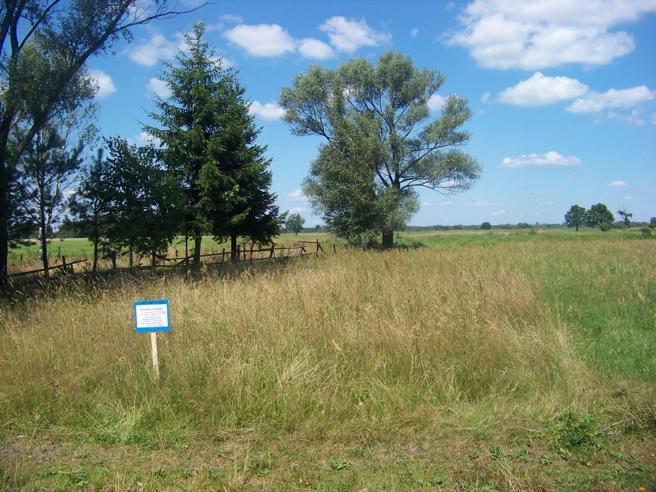 Działka rolna Brzuza. Zdjęcie 2