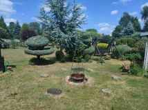 Działka rolna Wiechowo. Zdjęcie 1