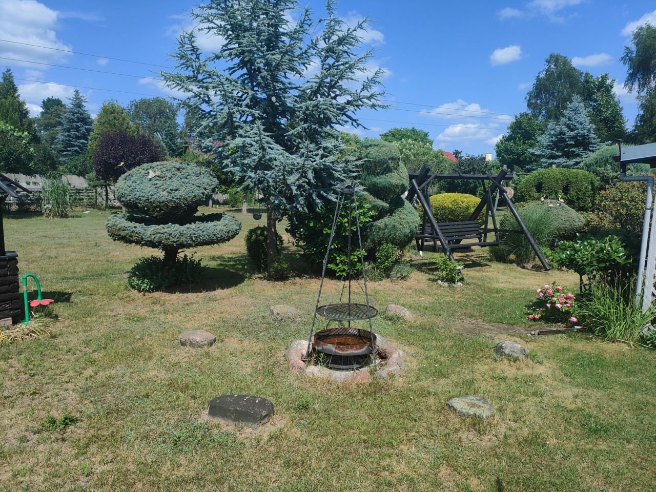 Działka rolna Wiechowo. Zdjęcie 2