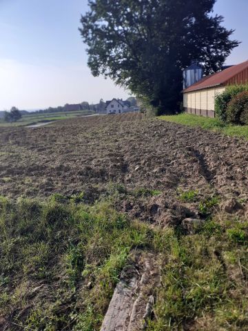 Działka budowlana Piotrów Porębiska. Zdjęcie 1